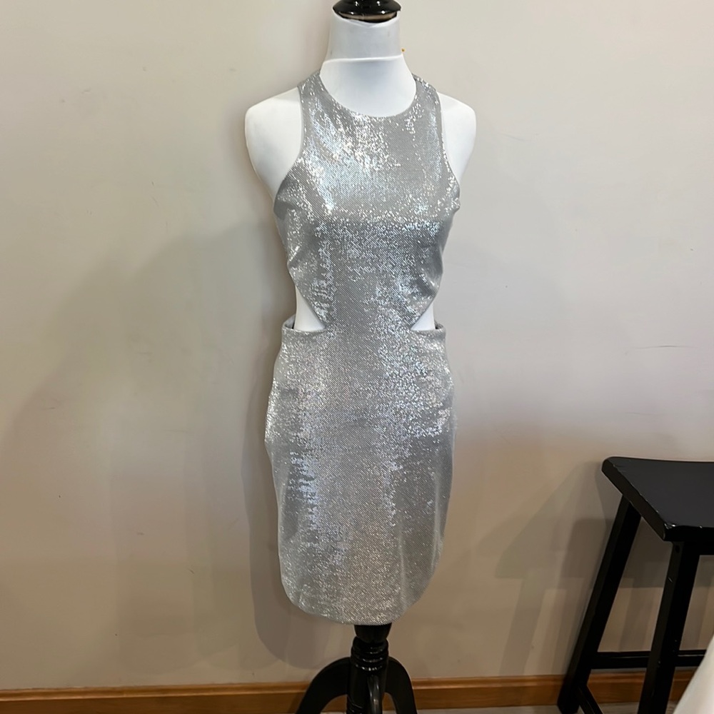 Express shimmer dress